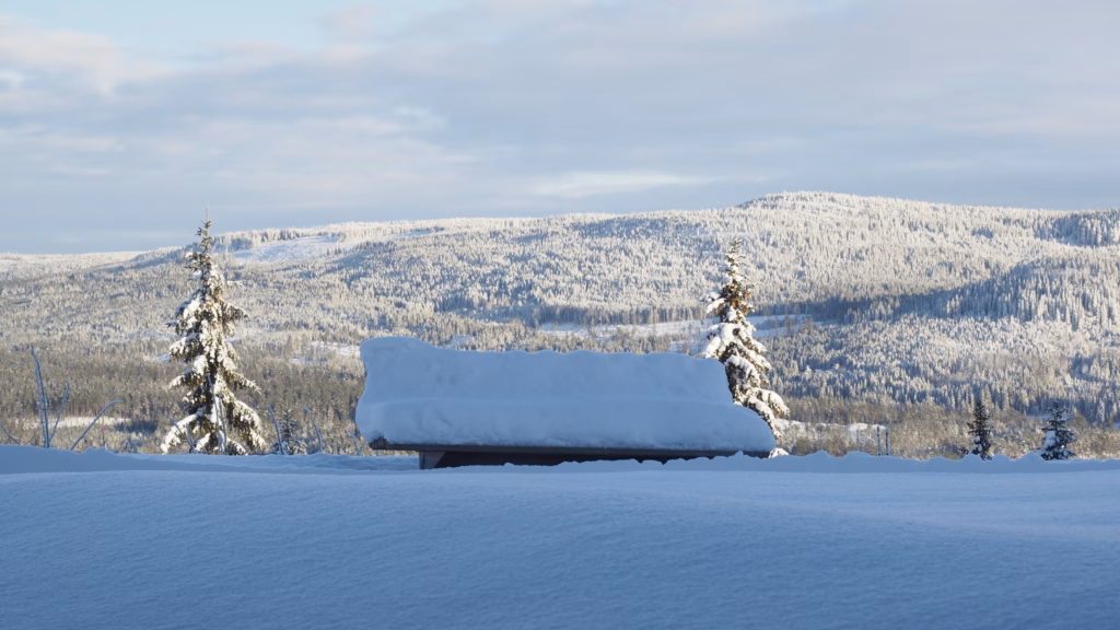 finnskogtoppen-spa-velvaere-bryllup